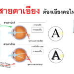 Screenshot - 25_9_2025 , 11_41_08