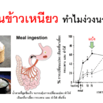 Screenshot - 9_9_2025 , 15_15_09