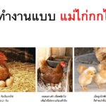 Screenshot - 2_10_2025 , 9_44_58