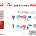 Screenshot - 12_11_2025 , 10_26_03