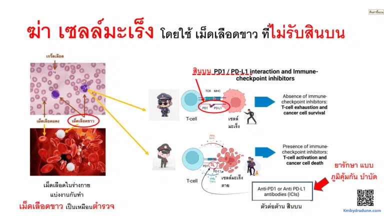 Screenshot - 12_11_2025 , 10_26_03