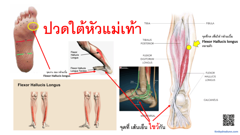 Screenshot - 29_12_2025 , 15_44_07