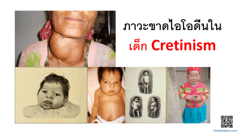 Screenshot - 23_1_2026 , 11_05_20