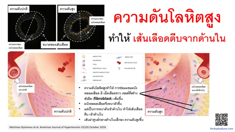 Screenshot - 13_2_2026 , 15_40_21