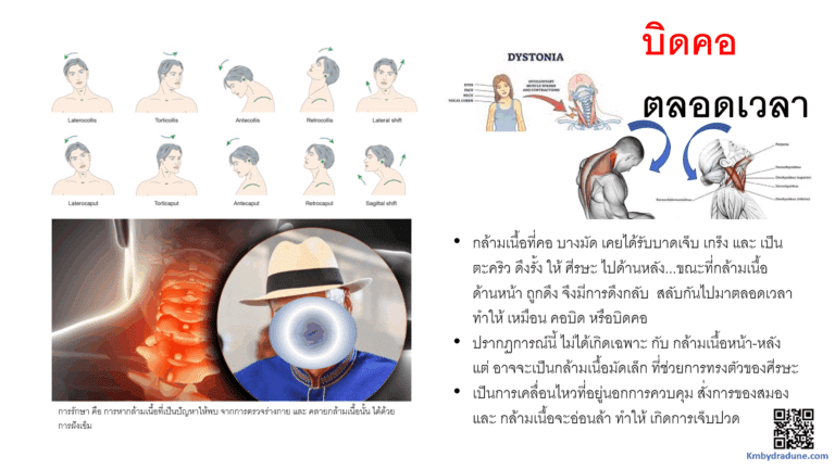 Screenshot - 23_3_2026 , 20_49_39