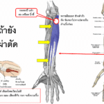 Screenshot - 24_3_2026 , 10_11_33