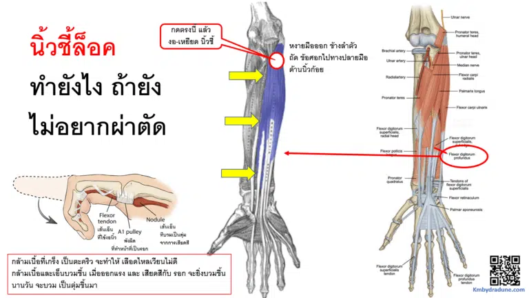 Screenshot - 24_3_2026 , 10_11_33