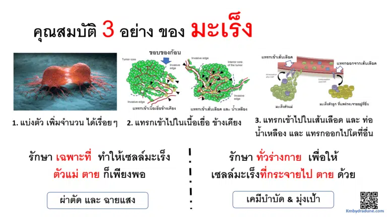 Screenshot - 24_4_2026 , 13_47_54